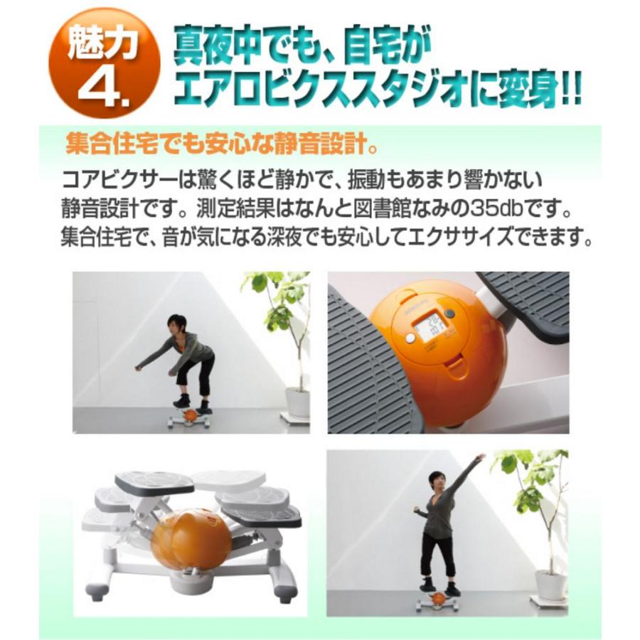 保障できる ステッパー コアビクサー ポイント10倍 エクササイズ 器具 ダイエット 有酸素運動 ツイスト エアロライフ Dr 30 メーカー正規代理店 モダンロイヤル 超人気の Studiostodulky Cz