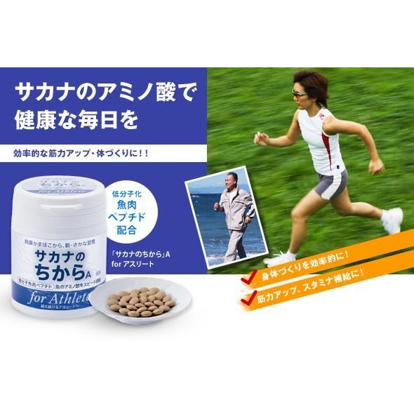 ペプチド サカナのちからa For アスリート 2箱セット サプリメント 健康維持 栄養補給 アミノ酸 送料無料 9n1882 Ec010h 美容健康ダイエット通販 マイラボ 通販 Yahoo ショッピング