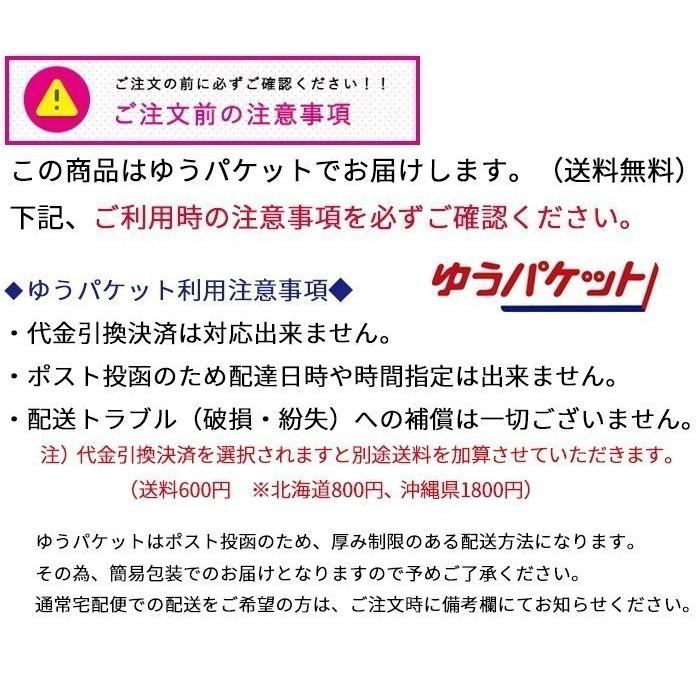 キッズ用水着　ラッシュガード・スイムパンツ・スイムキャップ　3点セット　身長100-130　男の子　サメ　シャーク｜mylight｜05