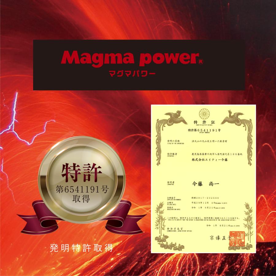 my makura（マイまくら） 50%OFF！吸湿発熱マグマパワー ダブル
