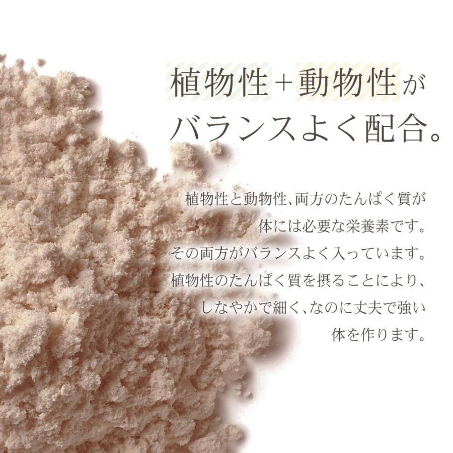 在庫限り!朝のたんぱく質習慣 (10g×5本)2袋セット ソイ プロテイン 女性 ダイエット 置き換え スムージー たんぱく質 大豆 美味しい 飲みやすい|mymall|05