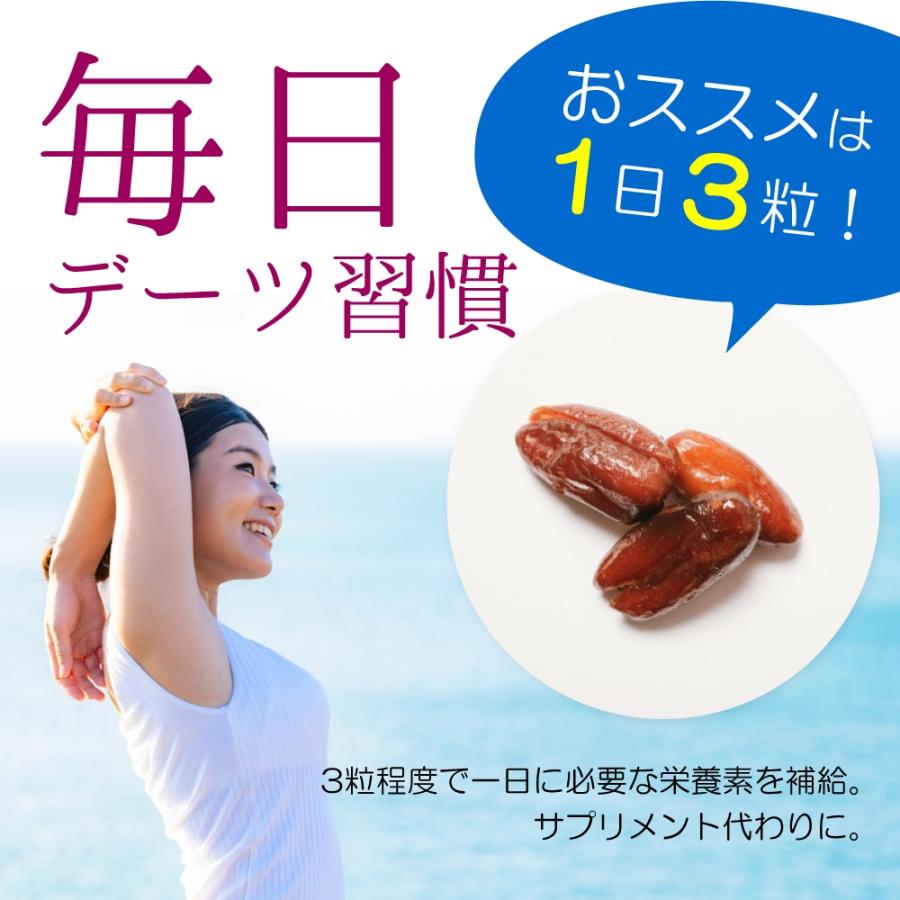 デーツ 王様のデーツ習慣 【150g×10袋】 種抜きデーツ ドライデーツ 無
