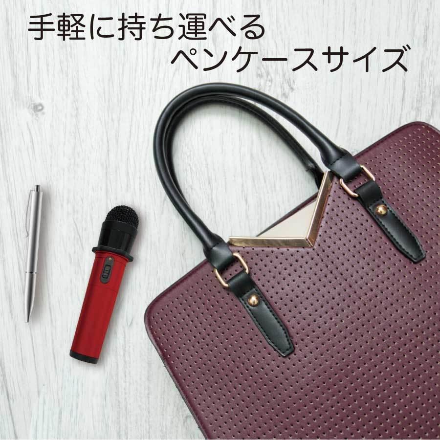 ペンタトニック GTM-200カラオケ マイ・マイクプロ専用ケース充電器付き gtm-200case_black.jpg