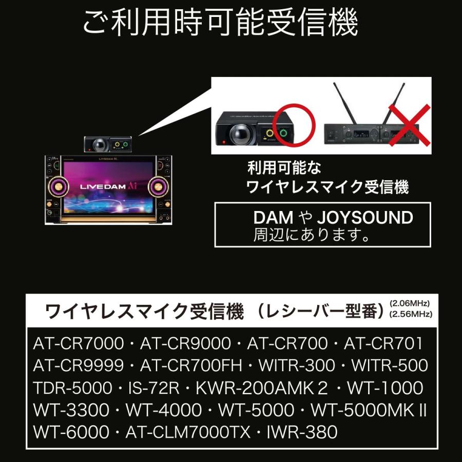 7月12日までポイント5倍】GTMカラオケマイク ロック専用 ワイヤレス