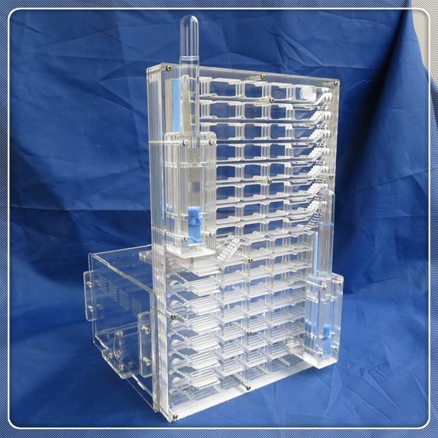 アクリル製の大きなアリさんハウス My 採集セット キット 大きなアリの巣観察キット夏休みの自由研究に