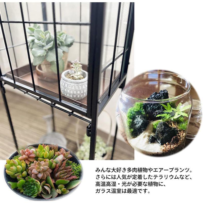 ガーデンガーデン ワーディアンケース 小型温室 園芸ラック ガラス製グリーンハウス 屋内 屋外用 幅33.5×奥行23.5×高さ82cm ブ ワーディアンケース 小型温室 園芸ラック ガラス製グリーンハウス 屋内 屋外用 幅33 5×奥行23 5×高さ82cm カラー