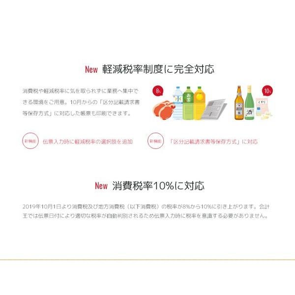 ソリマチ 会計王（最新版）PRO 追加1ライセンス 消費税改正対応版