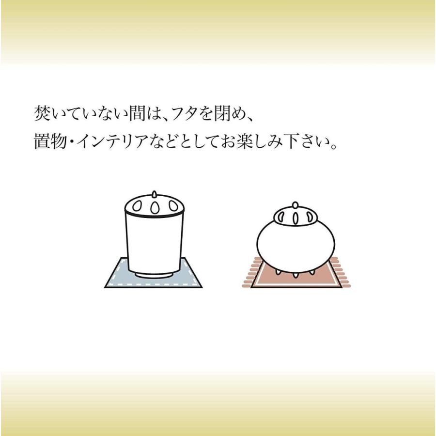 休日限定 縁香炉 極楽鳥花 白 Materialworldblog Com