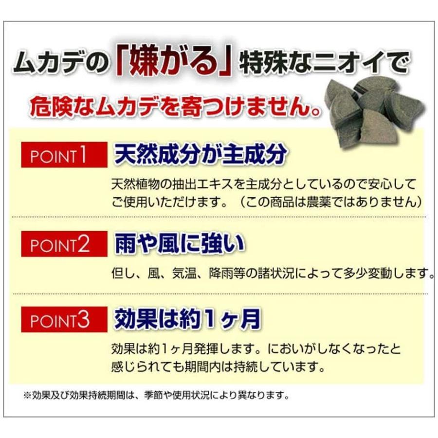 SHIMADA 害虫駆除 ムカデを寄せつけない 400g 対策 ブロック (効果約1ヶ月) 置くだけ 固形 天井裏 換気口|myoumi|02