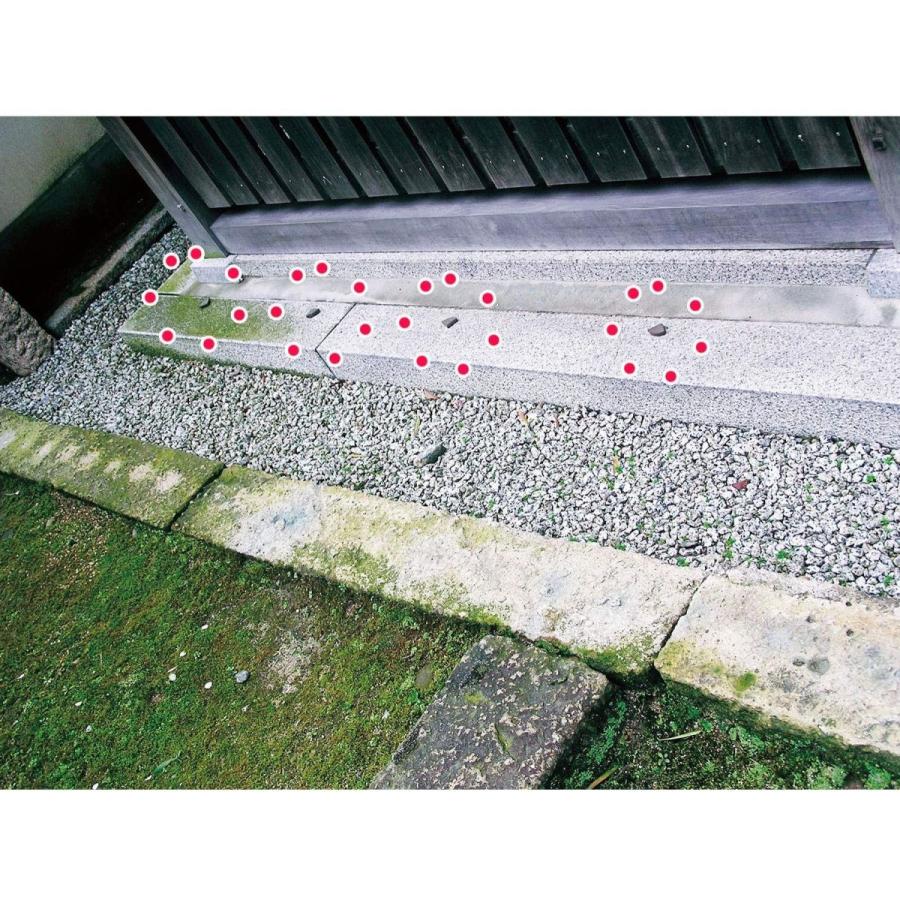 SHIMADA 害虫駆除 ムカデを寄せつけない 400g 対策 ブロック (効果約1ヶ月) 置くだけ 固形 天井裏 換気口|myoumi|06