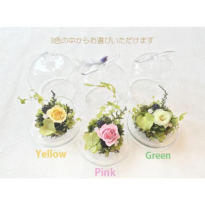 特価キャンペーン プリザーブドフラワー オーナメントフラワーにゃんこ ６コセット Fucoa Cl