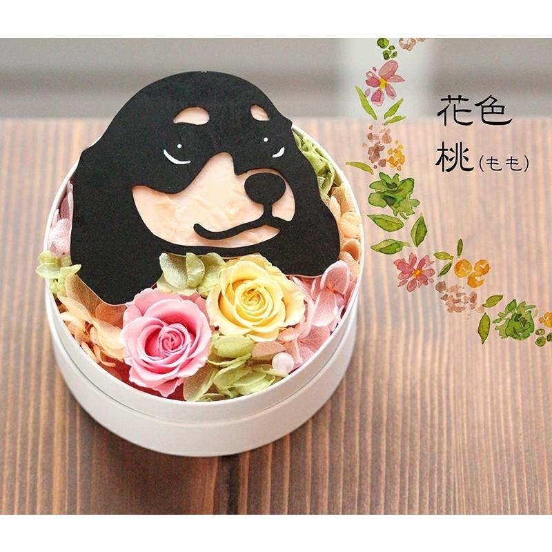 プリザーブドフラワー アニマルキャンディ 犬好き 猫好き うさぎ好き 人気 ギフト 誕生日 バレンタイン ホワイトデー 花 ペット お供え プレゼント 父の日 Candy プリザーブドフラワー動物のお花屋 通販 Yahoo ショッピング