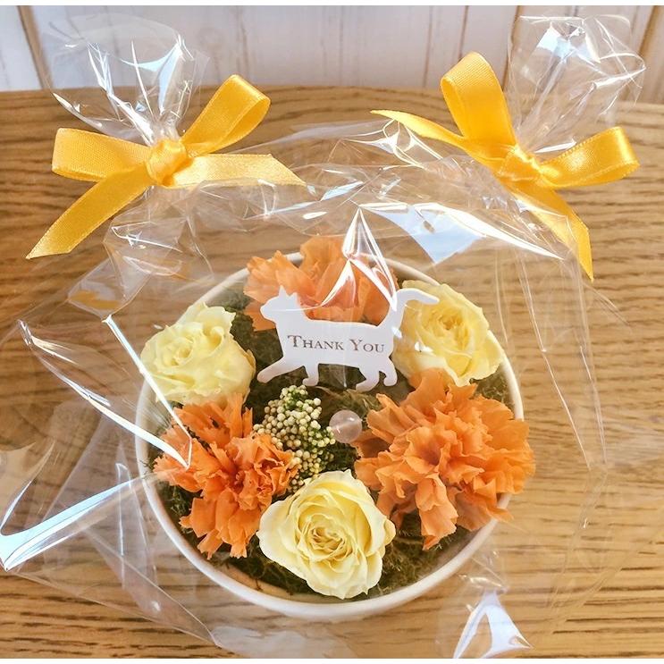 プリザーブドフラワー ギフト 敬老の日 アニマルガーデン 母の日 犬好き 猫好き うさぎ好き ペット 誕生日 プレゼント 女性 クリスマス 母の日ギフト Garden プリザーブドフラワー動物のお花屋 通販 Yahoo ショッピング