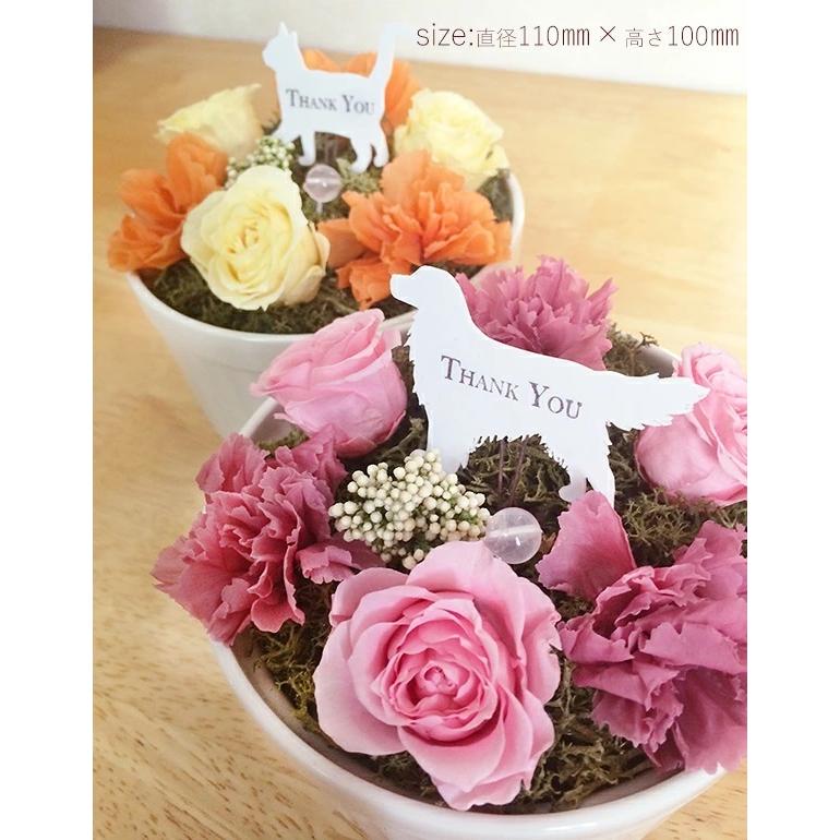 アニマルガーデン プリザーブドフラワー 母の日 オーダーメイド ギフト