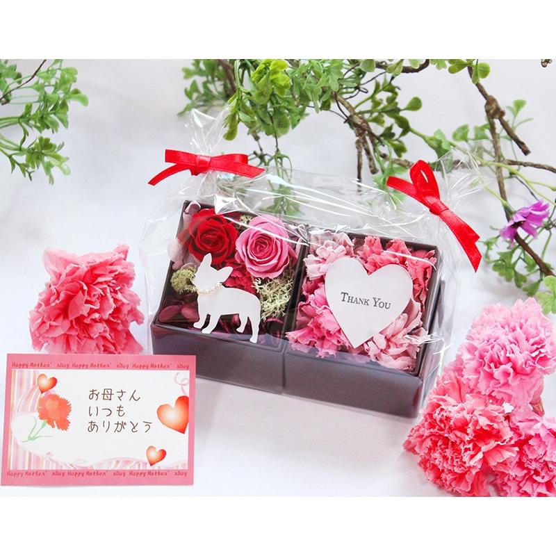 プリザーブドフラワー 母の日 Minibox２セット 母の日カード付 ギフト プレゼント 花 母の日ギフト 文字入り 4色カーネーション 贈り物 クリスマス Haha2 プリザーブドフラワー動物のお花屋 通販 Yahoo ショッピング