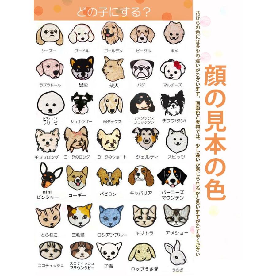 プリザーブドフラワー アニマルカーネーションBOX オーダーメイド