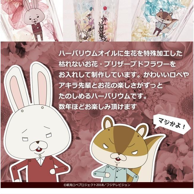 プリザーブドフラワー ハーバリウム紙兎ロペ オーダーメイド お花 誕生日 メモリアル プレゼント アニメ ギフト Gift グッズ アキラ先輩 誕生日 父の日 母の日 Kamiusagi Herbarium プリザーブドフラワー動物のお花屋 通販 Yahoo ショッピング
