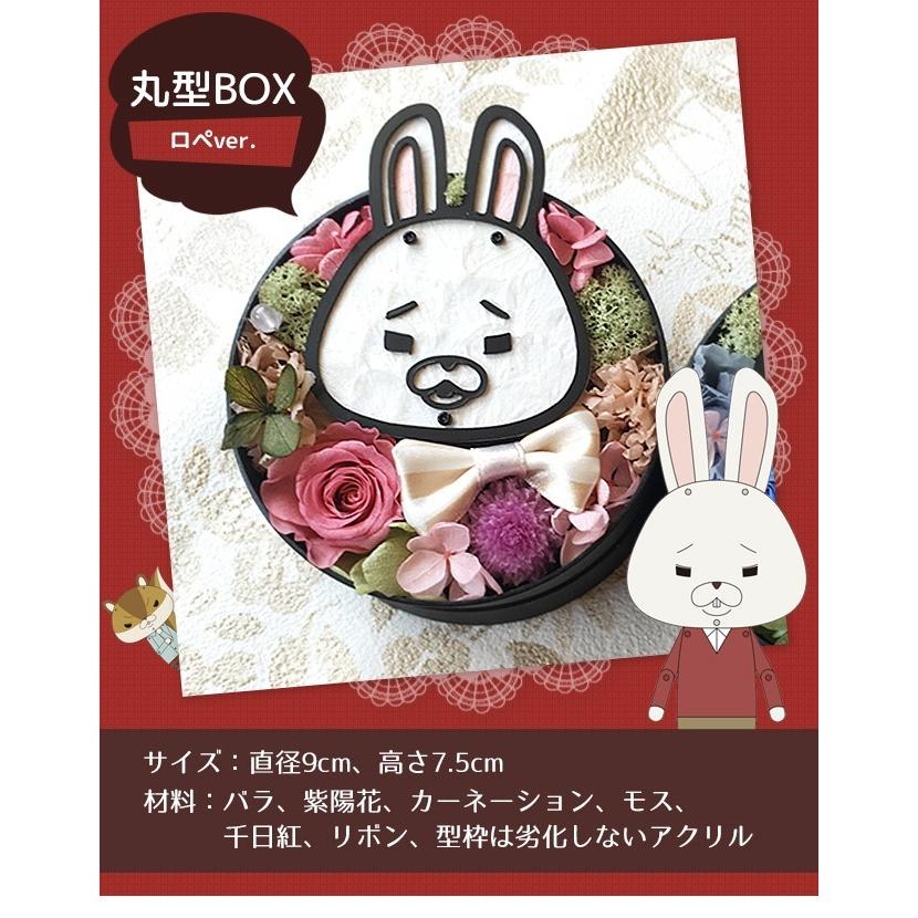 San-X（サンエックス） プリザーブドフラワー 紙兎ロペ キャラクター