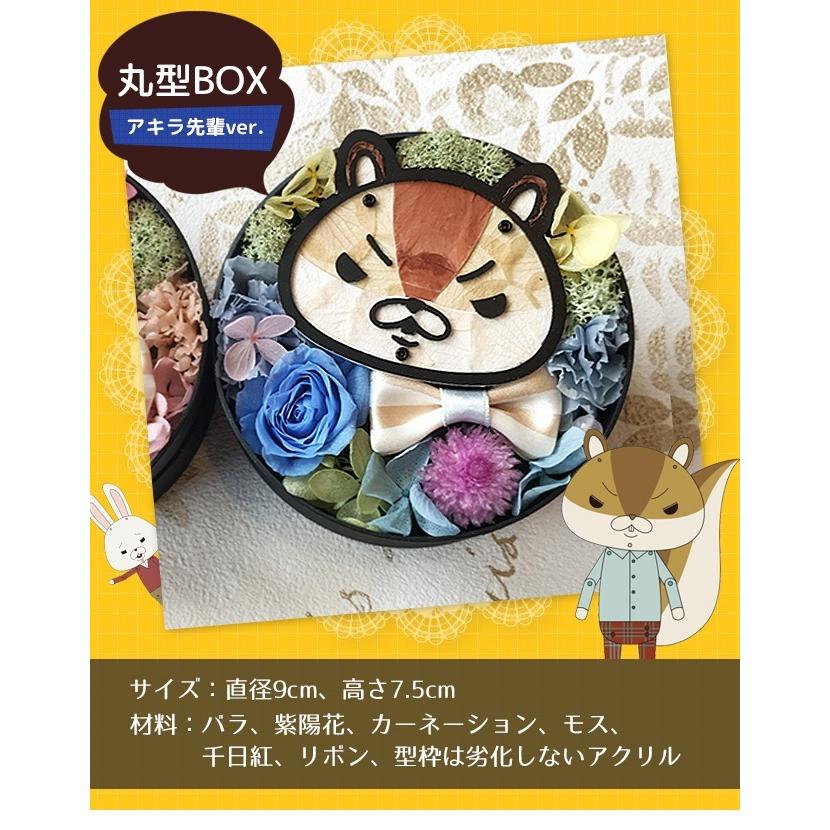 San-X（サンエックス） プリザーブドフラワー 紙兎ロペ キャラクター