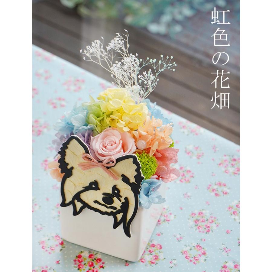 プリザーブドフラワー 差し上げ物 虹の花やしき 購入注文御手伝いさん プリザーブドフラワー 枯れない お花 犬 猫 家兎 差し上げ物 メモリアル  虹の橋 生まれ落ちる日 お後悔の念 花、ガーデニング-花束、アレンジメント-プリザーブドフラワー