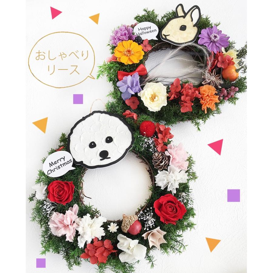 プリザーブドフラワー 季節のおしゃべりフラワーリース ギフト プレゼント 花 開店祝い 父の日 結婚祝い リース 誕生日 玄関 クリスマスリース 母の日 父の日 :oshaberi-wreath:プリザーブドフラワー動物のお花屋 - 通販 - Yahoo!ショッピング プリザーブドフラワー 季節のおしゃべりフラワーリース ギフト プレゼント 花 開店祝い 父の日 結婚祝い リース 誕生日 玄関 クリスマスリース 母の日 父の日 :oshaberi-wreath:プリザーブドフラワー動物のお花屋 - 通販 - Yahoo!ショッピング