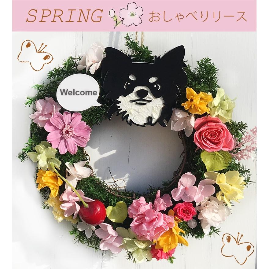 プリザーブドフラワー 季節のおしゃべりフラワーリース ギフト プレゼント 花 開店祝い 父の日 結婚祝い リース 誕生日 玄関 クリスマスリース 母の日 父の日 :oshaberi-wreath:プリザーブドフラワー動物のお花屋 - 通販 - Yahoo!ショッピング プリザーブドフラワー 季節のおしゃべりフラワーリース ギフト プレゼント 花 開店祝い 父の日 結婚祝い リース 誕生日 玄関 クリスマスリース 母の日 父の日 :oshaberi-wreath:プリザーブドフラワー動物のお花屋 - 通販 - Yahoo!ショッピング