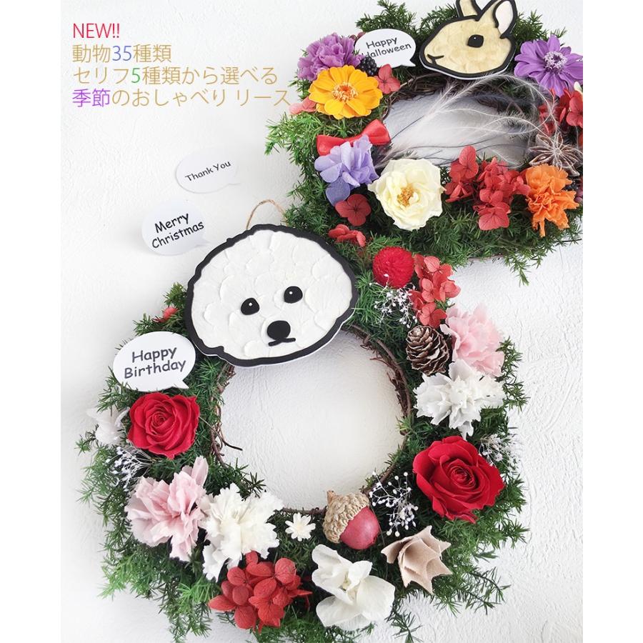 プリザーブドフラワー 季節のおしゃべりフラワーリース ギフト プレゼント 花 開店祝い 父の日 結婚祝い リース 誕生日 玄関 クリスマスリース 母の日 父の日 :oshaberi-wreath:プリザーブドフラワー動物のお花屋 - 通販 - Yahoo!ショッピング プリザーブドフラワー 季節のおしゃべりフラワーリース ギフト プレゼント 花 開店祝い 父の日 結婚祝い リース 誕生日 玄関 クリスマスリース 母の日 父の日 :oshaberi-wreath:プリザーブドフラワー動物のお花屋 - 通販 - Yahoo!ショッピング