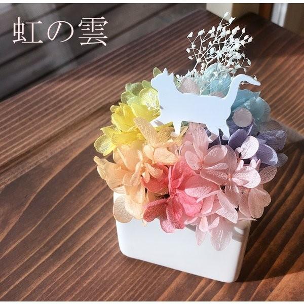 プリザーブドフラワー ギフト 虹の雲S オーダーメイド 20種から選べる ふわふわの紫陽花の虹雲 虹の橋 あじさい 誕生日 犬 ねこ うさぎ お供え ペット | 