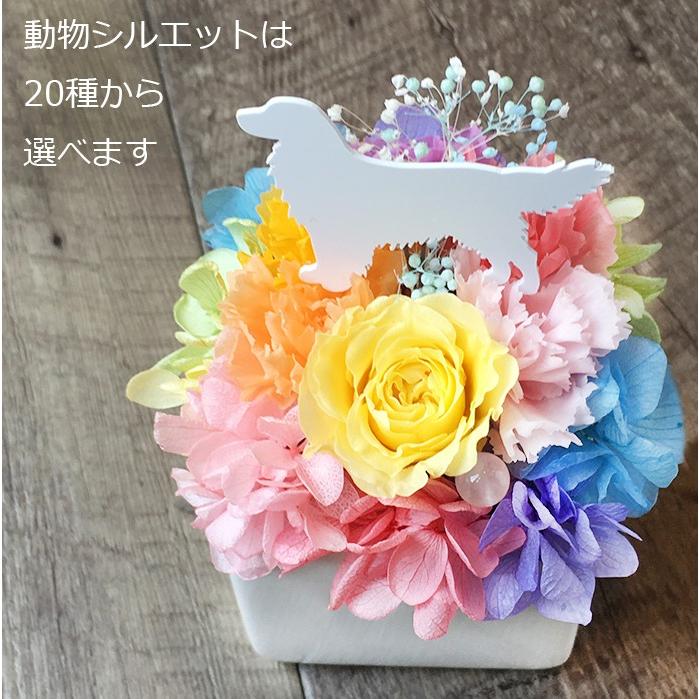 虹の雲m プリザーブドフラワー ギフト 犬 ねこ うさぎ 人気 母の日 メモリアル 誕生日 プレゼント クリスマス お供え ペット お悔やみ 仏花 父の日 Rainbow M プリザーブドフラワー動物のお花屋 通販 Yahoo ショッピング
