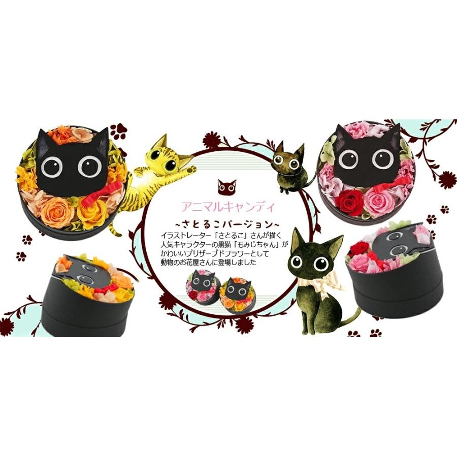 プリザーブドフラワー ラウンドもみじ ギフト フラワーアレンジメント 黒猫 プレゼント お花 Satoruko 猫作家 さとるこ コラボ 父の日 母の日 Satorukocandy プリザーブドフラワー動物のお花屋 通販 Yahoo ショッピング