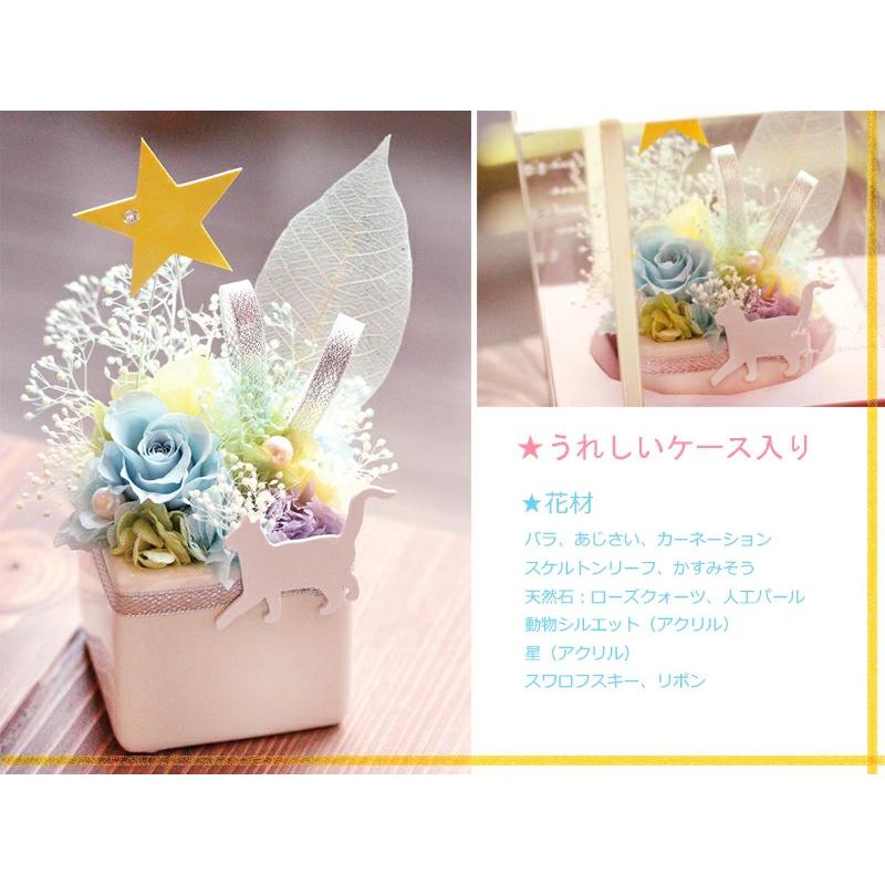 アニマルstar プリザーブドフラワー ギフト 犬 猫 うさぎ 花 人気 誕生日祝い 結婚祝い 母の日ギフト 開院祝い ペット お悔やみ お供え 仏花 母の日 Star プリザーブドフラワー動物のお花屋 通販 Yahoo ショッピング
