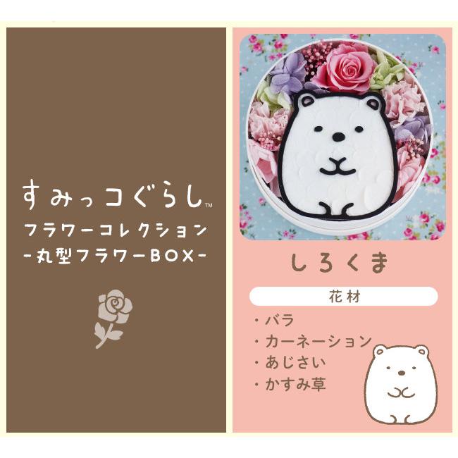 San-X（サンエックス） すみっコぐらし フラワーコレクション