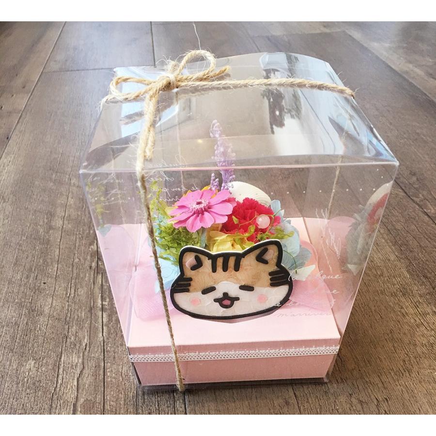 ねこたつフラワー キジ白猫 子猫 プリザーブドフラワー とこなつ 猫好き 花 プレゼント 母の日 母の日ギフト Tokonatsukara Nekotatsu プリザーブドフラワー動物のお花屋 通販 Yahoo ショッピング