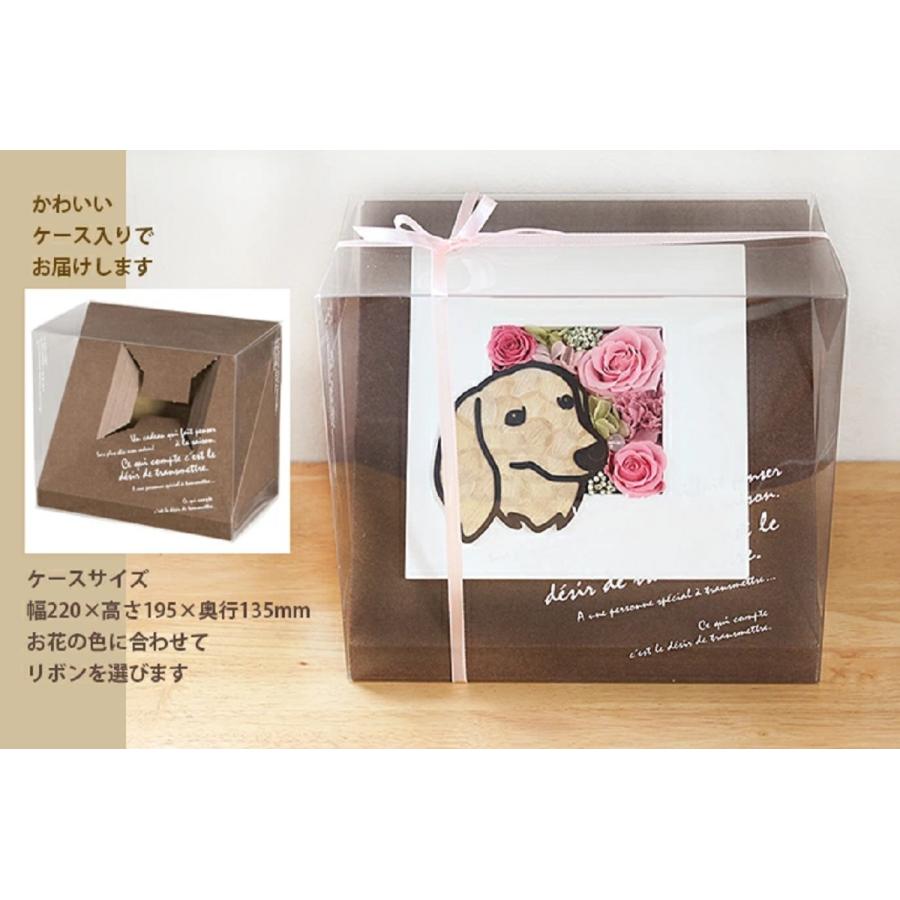 天野喜孝 イヴDX リトグラフ 菱沼良樹コラボ