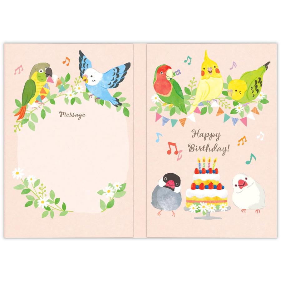 Hallmark(ホールマーク) ホールマーク オルゴールカード インコ 誕生日お祝い 826284 |  | 01