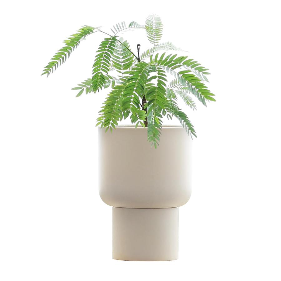 マーナ (marna) プラントポット (115mm / 4号鉢相当) 溜まった水が捨てやすい (軽い/移動も簡単) 植木鉢 プランター 観葉植物 サ | 