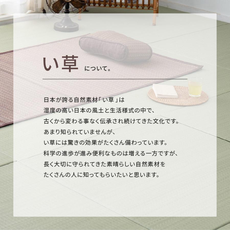 ラグ ラグマット 夏用 い草 約3畳 長方形 おしゃれ 抗カビ 消臭 シンプル 涼しい 和モダン リビング 和室 寝室 快適 191×240cm_6