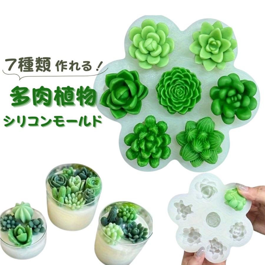 シリコンモールド 多肉植物 立体 7種類 サボテン レジン アクセサリー