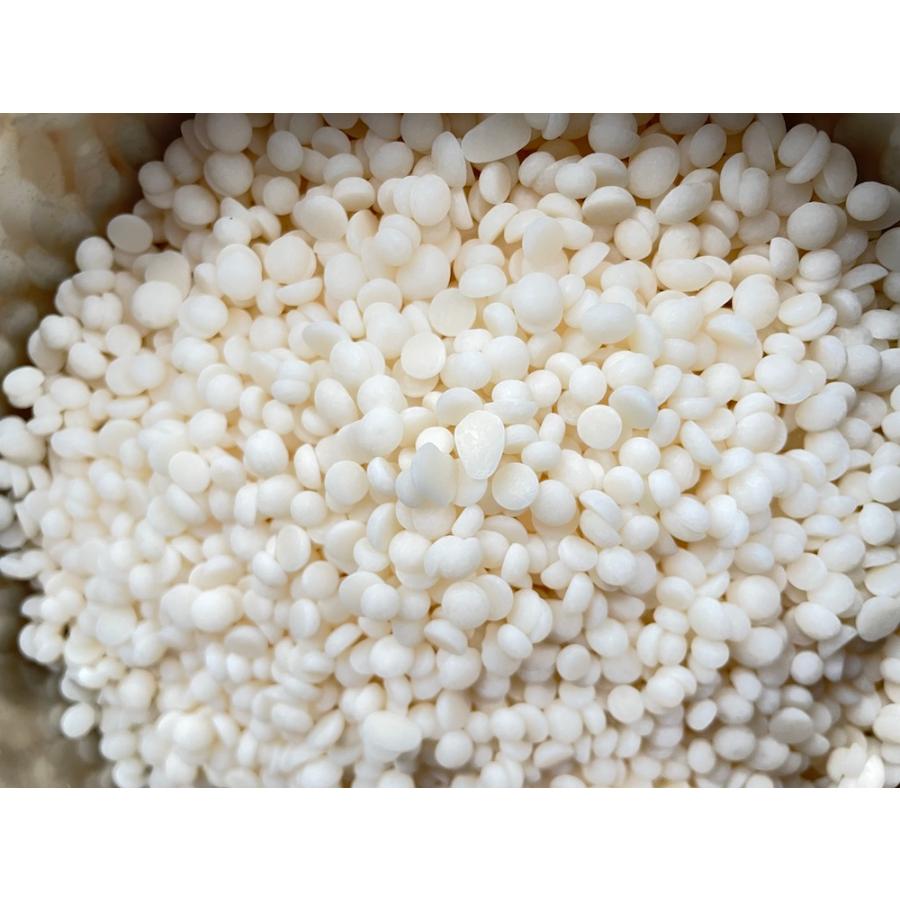ソイワックス ピラーブレンド 1kg×10袋(10kg) 小分け エコソヤ
