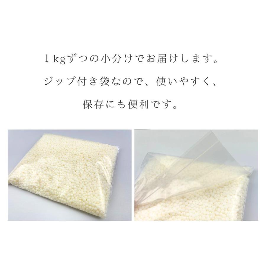ソイワックス ピラーブレンド 1kg×10袋(10kg) 小分け エコソヤ
