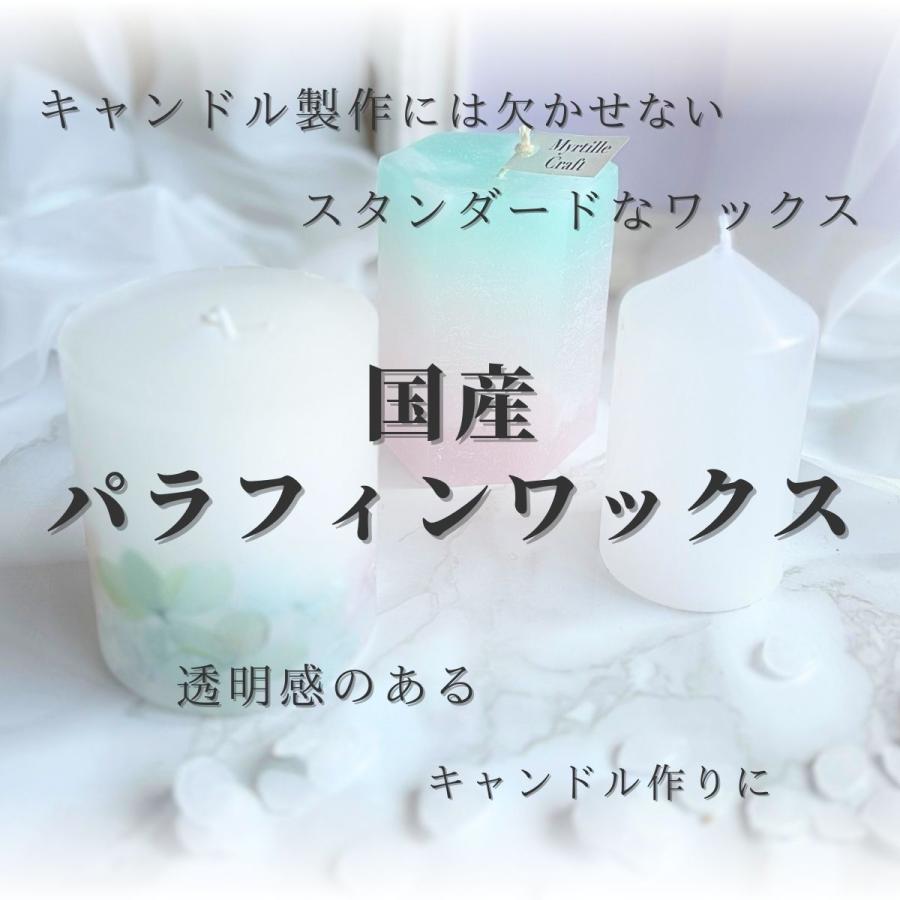 パラフィンワックス 融点 58℃ ペレット 1kg×10袋(10kg) 小分け 国産 