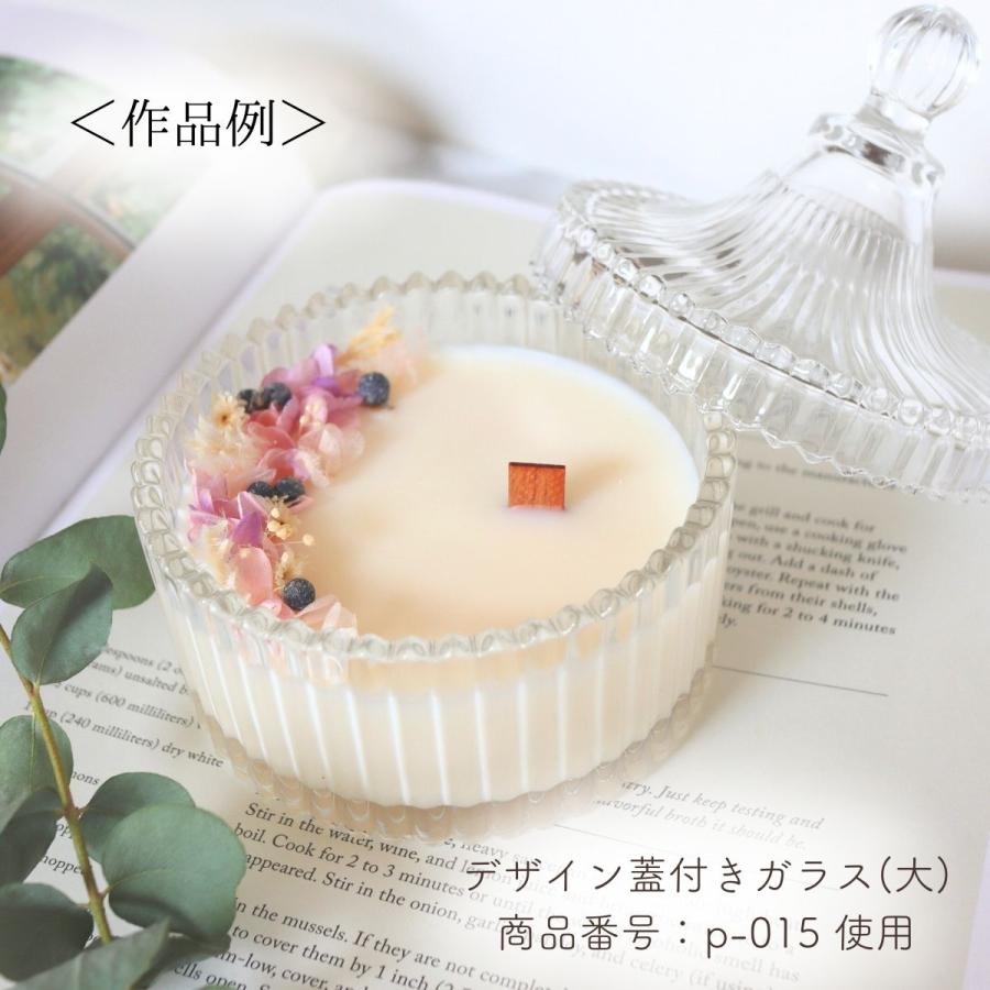 ソイワックス CBアドバンス 1kg 小分け エコソヤ エコソイ ecosoya