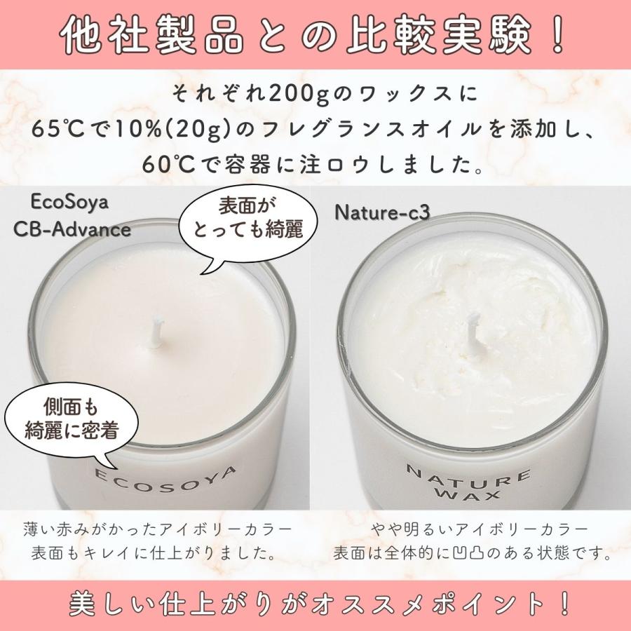 ソイワックス CBアドバンス 2kg (1kg×2袋) 小分け エコソヤ エコソイ