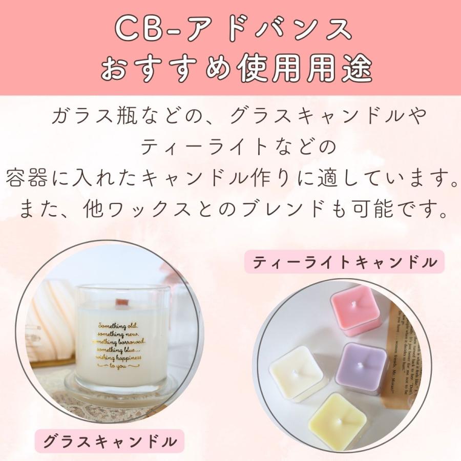 ソイワックス CBアドバンス 10kg (1kg×10袋) 小分け エコソヤ エコソイ