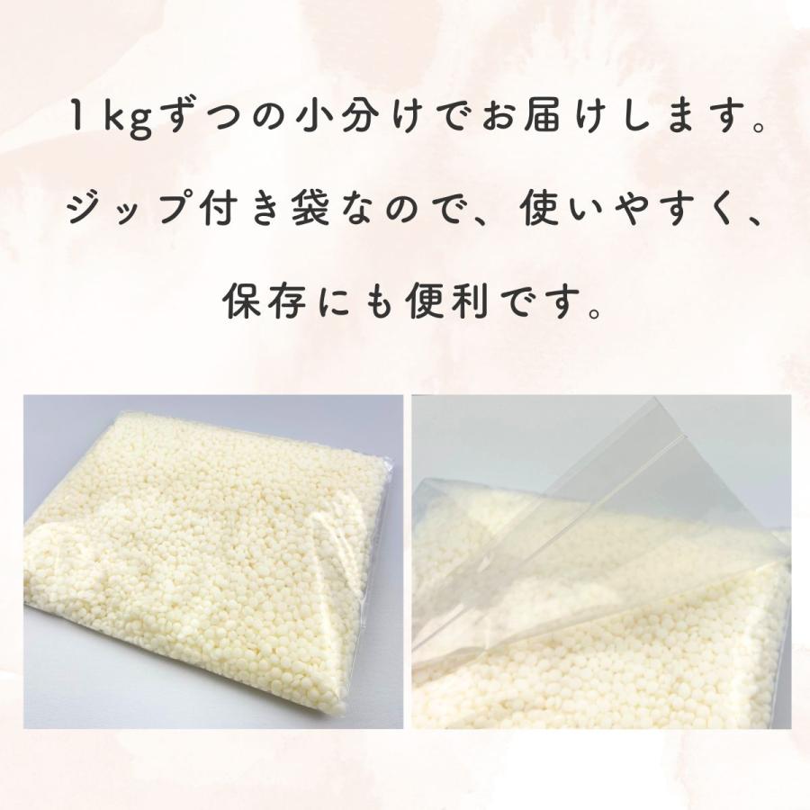 ソイワックス CBアドバンス 10kg (1kg×10袋) 小分け エコソヤ エコソイ