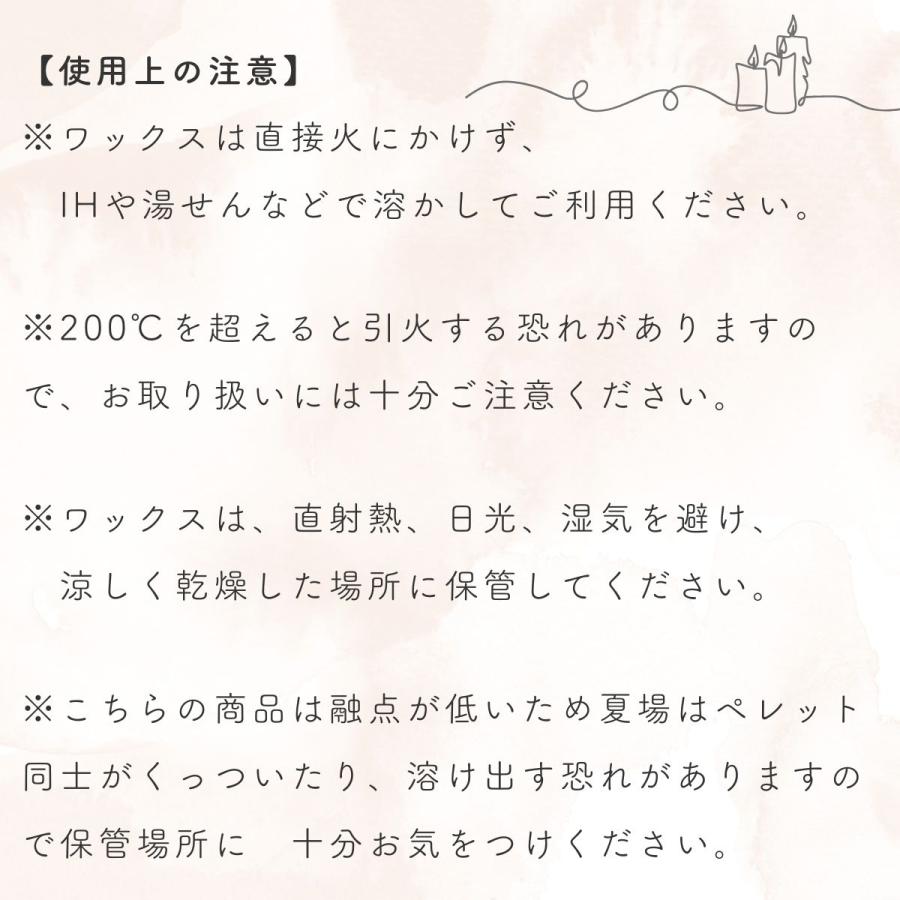 ソイワックス CBアドバンス 10kg (1kg×10袋) 小分け エコソヤ エコソイ