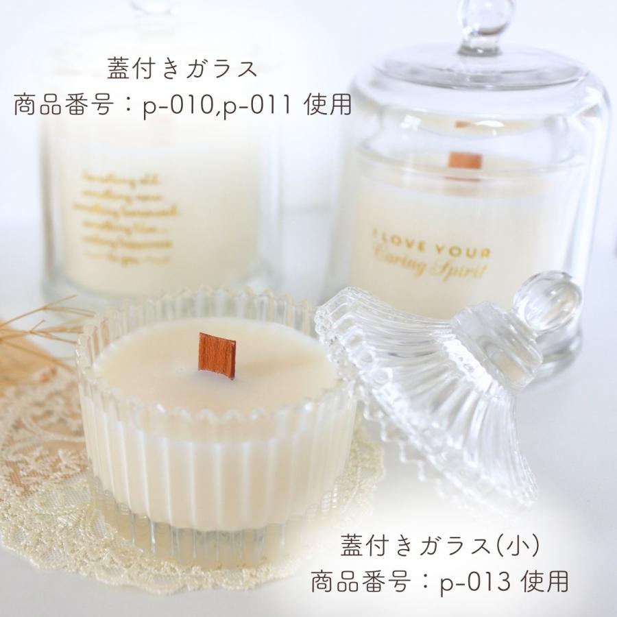 ソイワックス CBアドバンス 10kg (1kg×10袋) 小分け エコソヤ エコソイ
