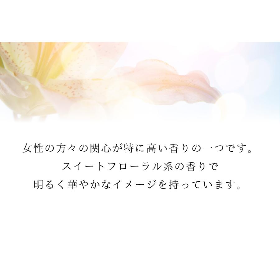 香料 フレグランスオイル Chance (Chanel Type) 100ml ディフーザー