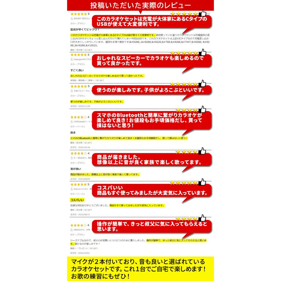 カラオケセット Bluetooth スピーカー マイク2本付き コードレス 家庭