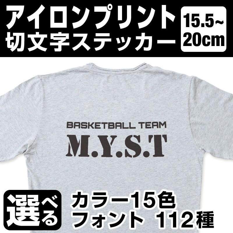 1文字からOK！20cmまで同価格！（15.5〜20cm）アイロンプリント